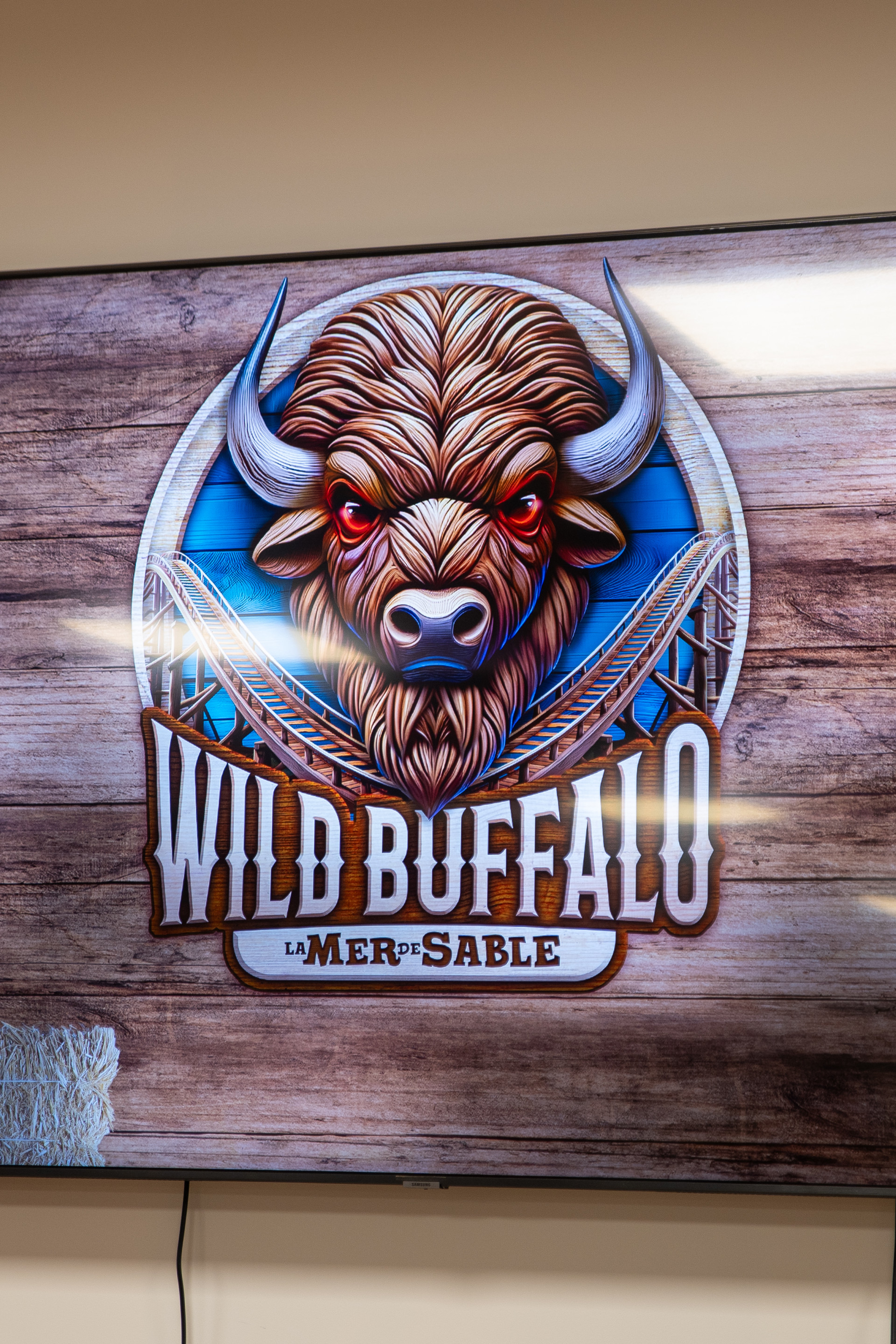 Mer de Sable Wild Buffalo