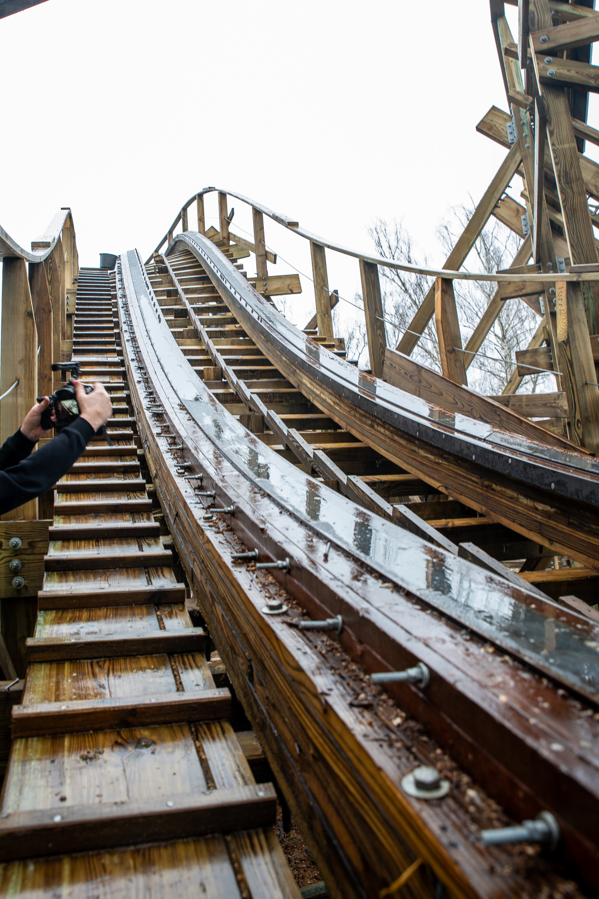 Mer de Sable Wild Buffalo