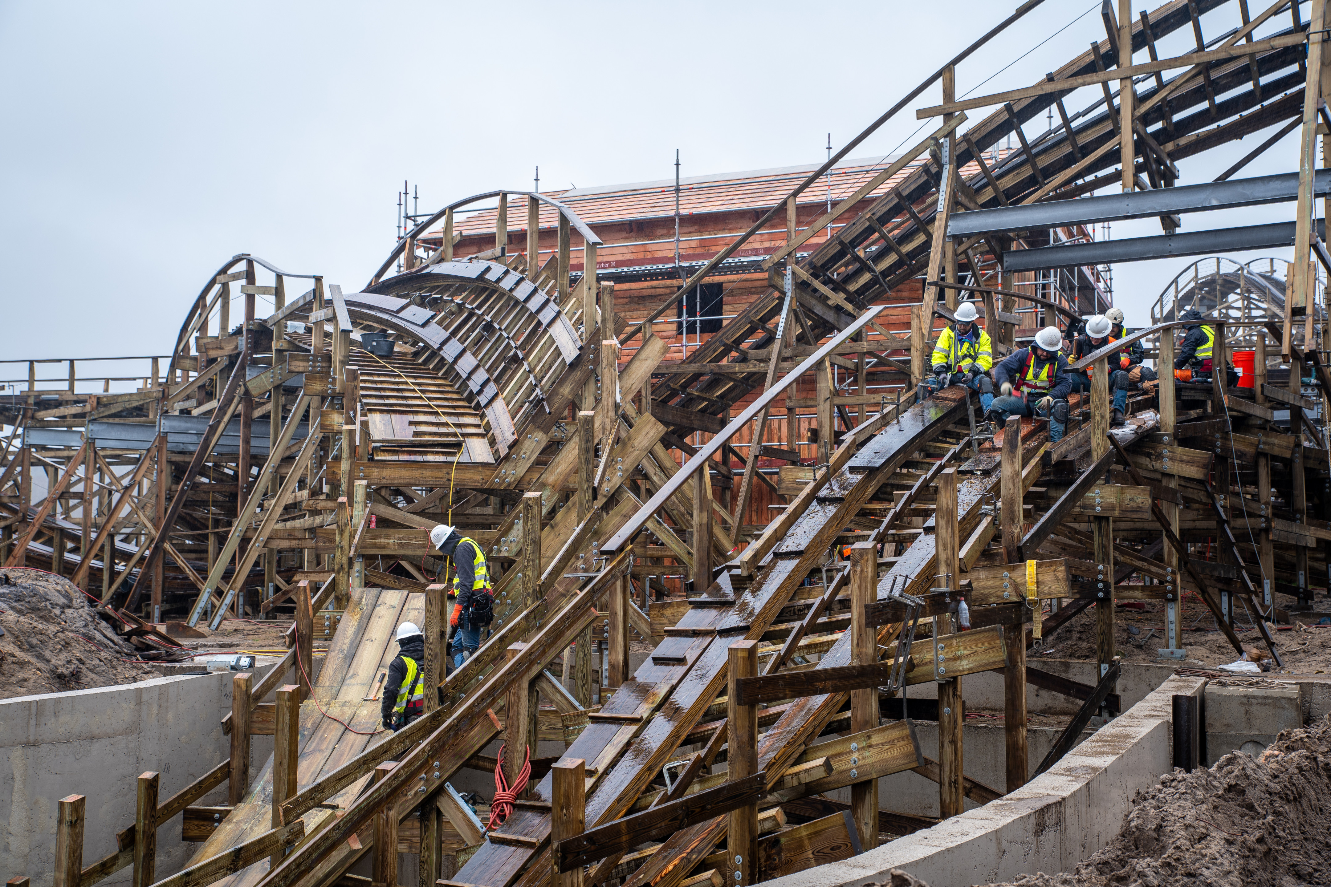 Mer de Sable Wild Buffalo