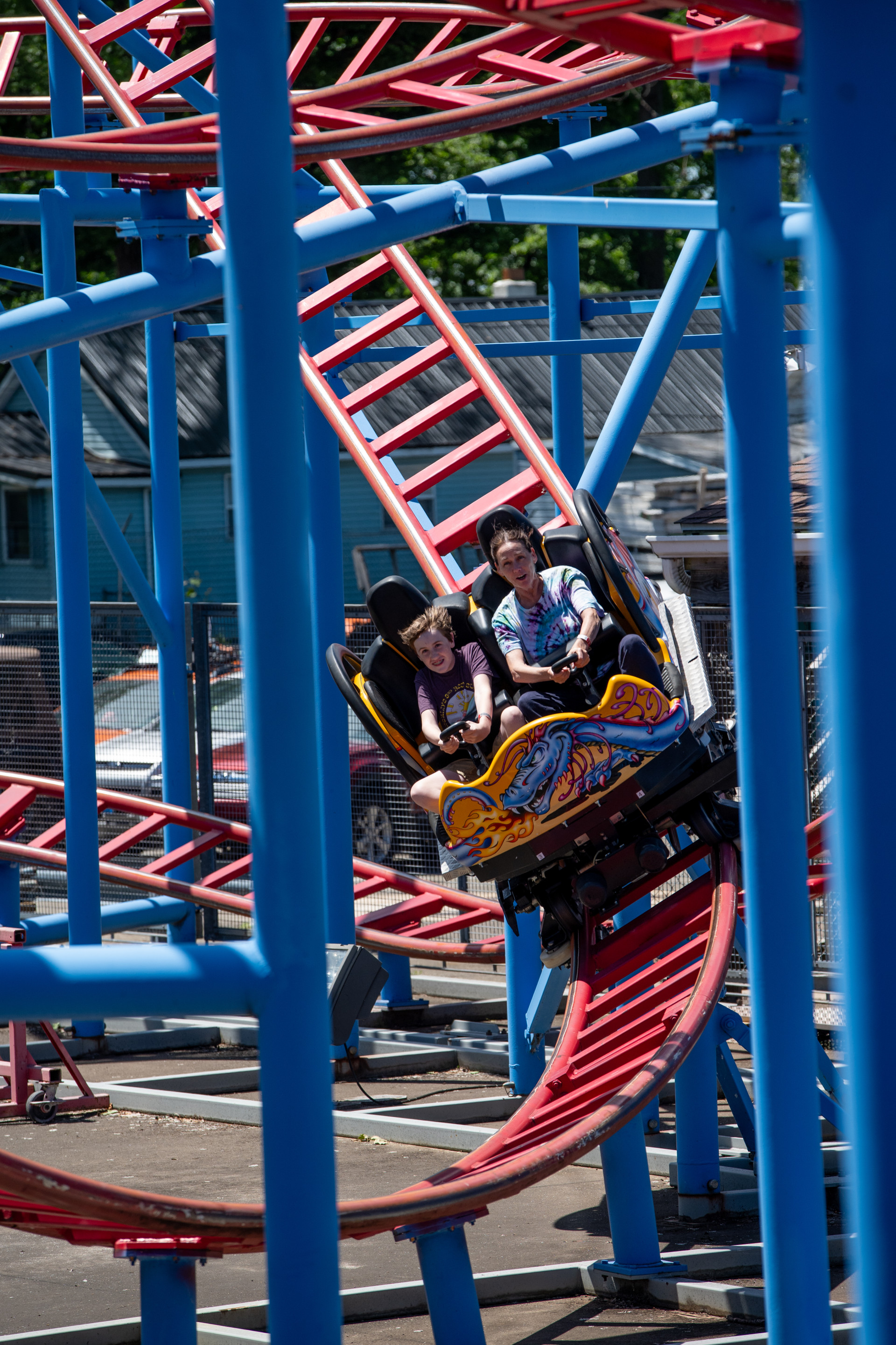Waldameer Steel Dragon