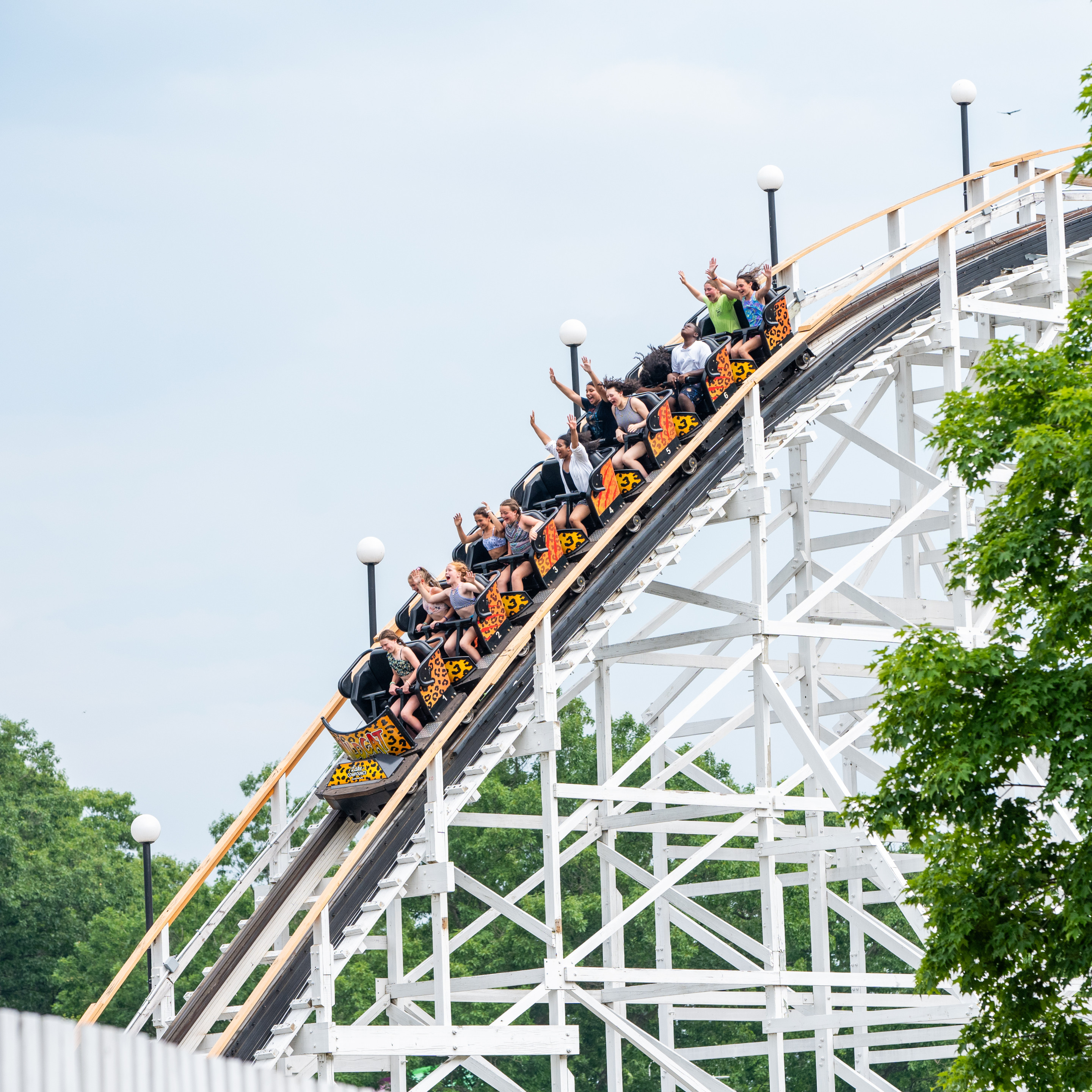 Lake Compounce Wildcat