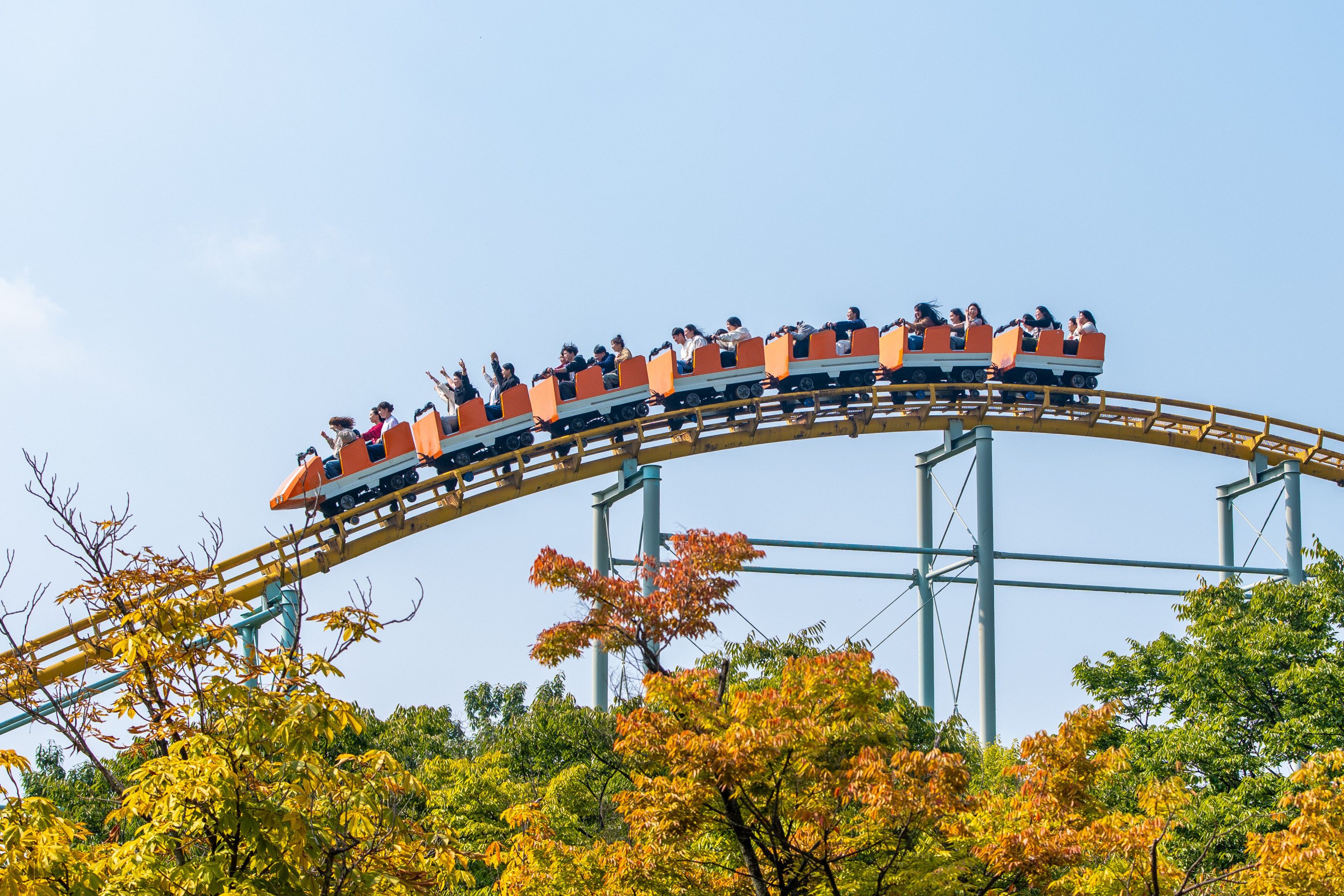 E-World / 이월드 Camel Back