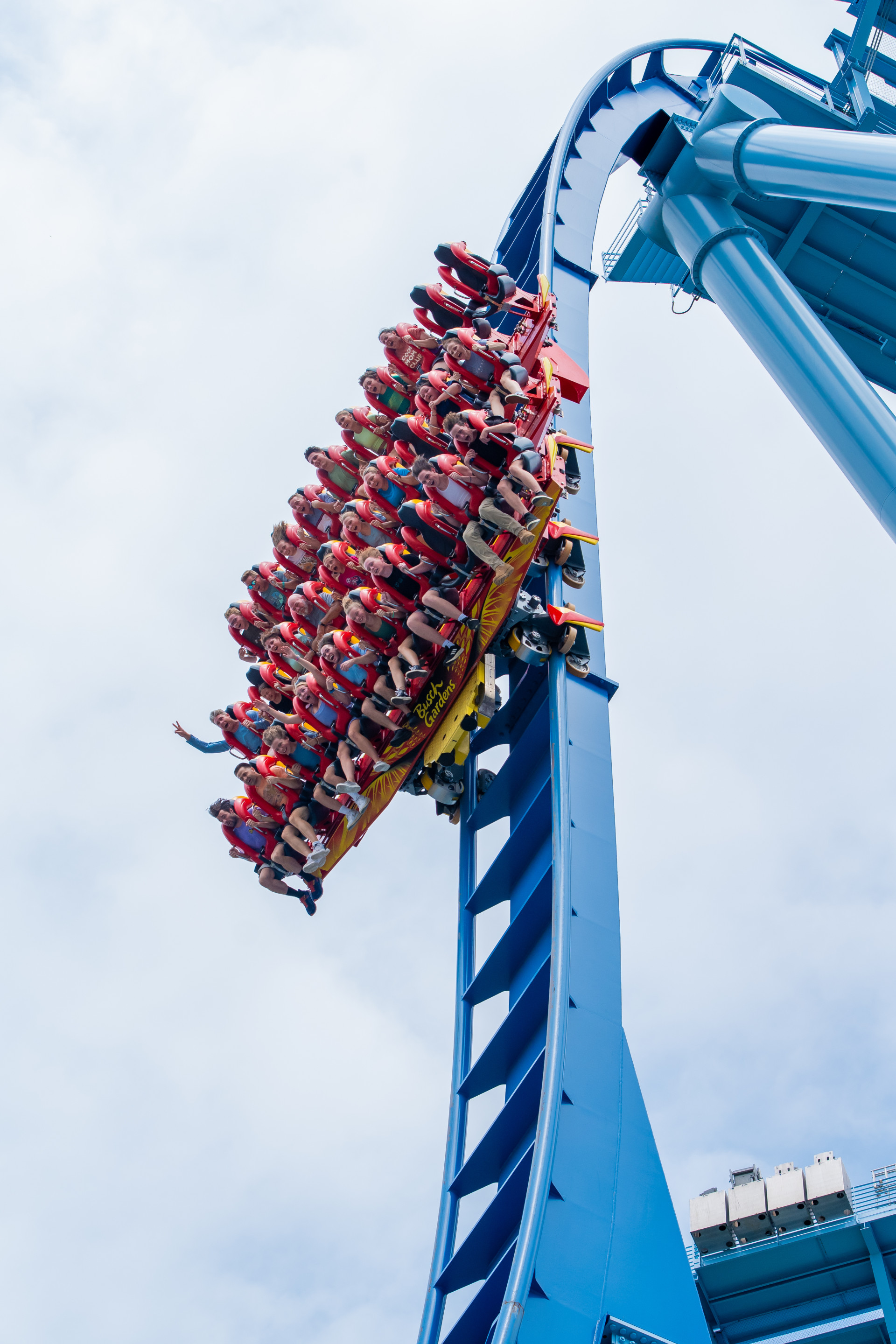 Busch Gardens Williamsburg Griffon
