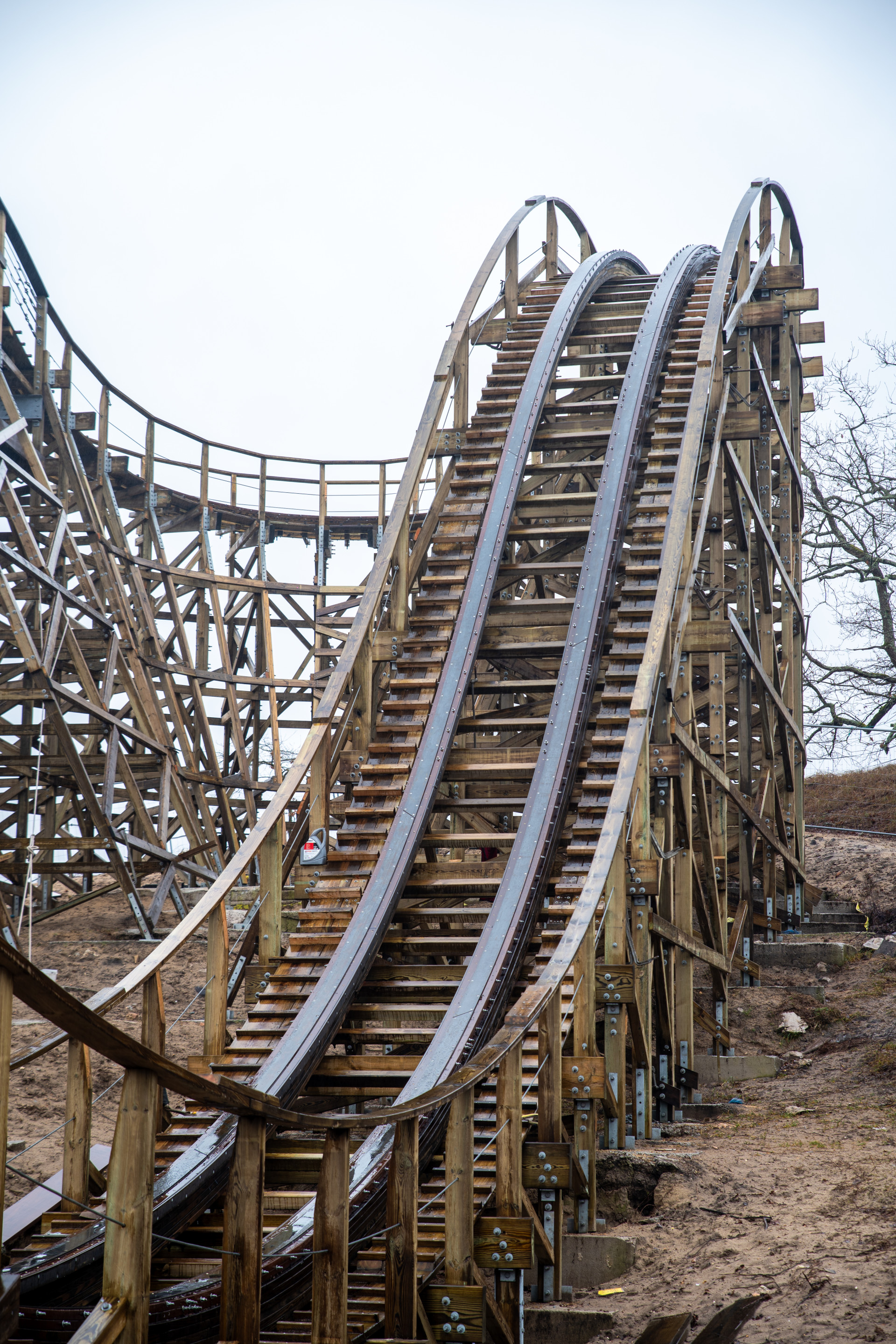 Mer de Sable Wild Buffalo