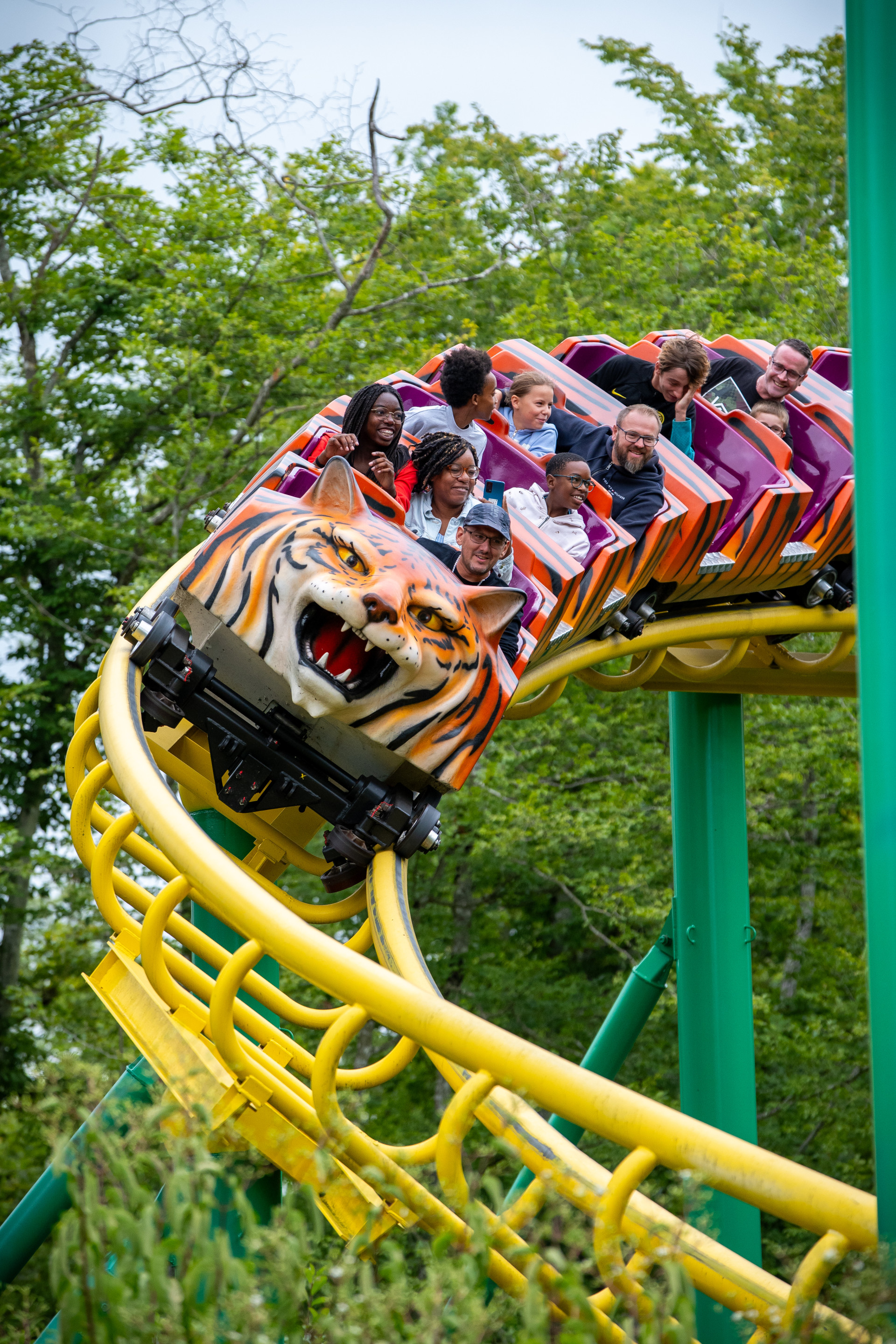 Le Pal Tigre de Sibérie