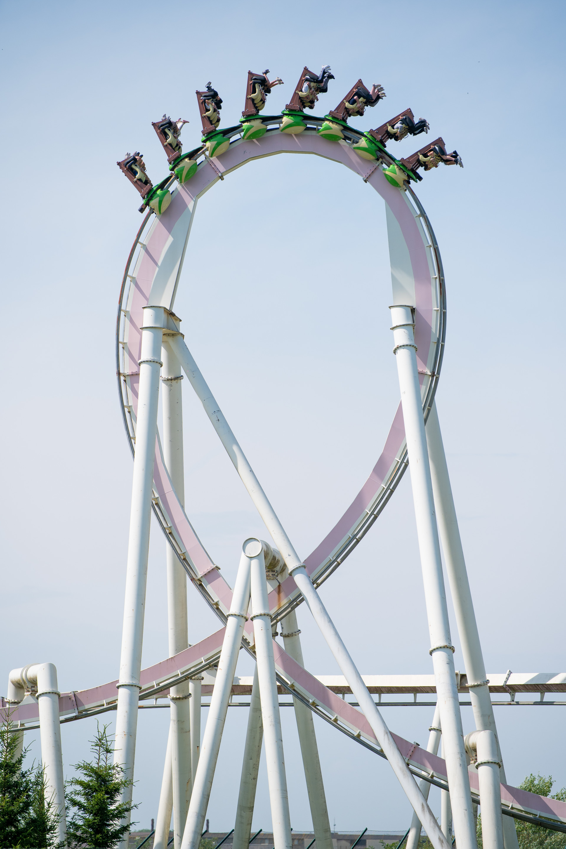 Walygator Grand Est Monster