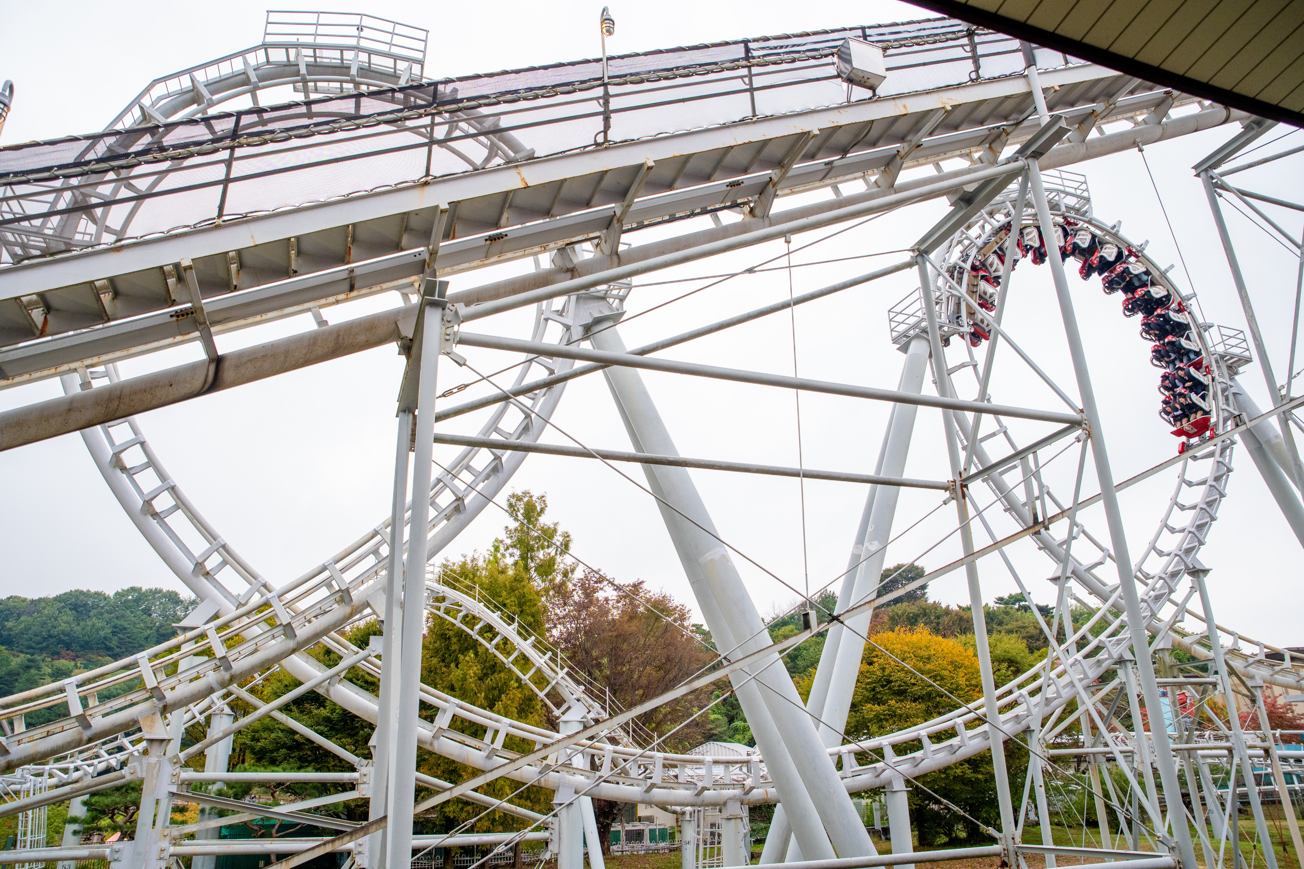 Everland / 에버랜드 Rolling X-Train