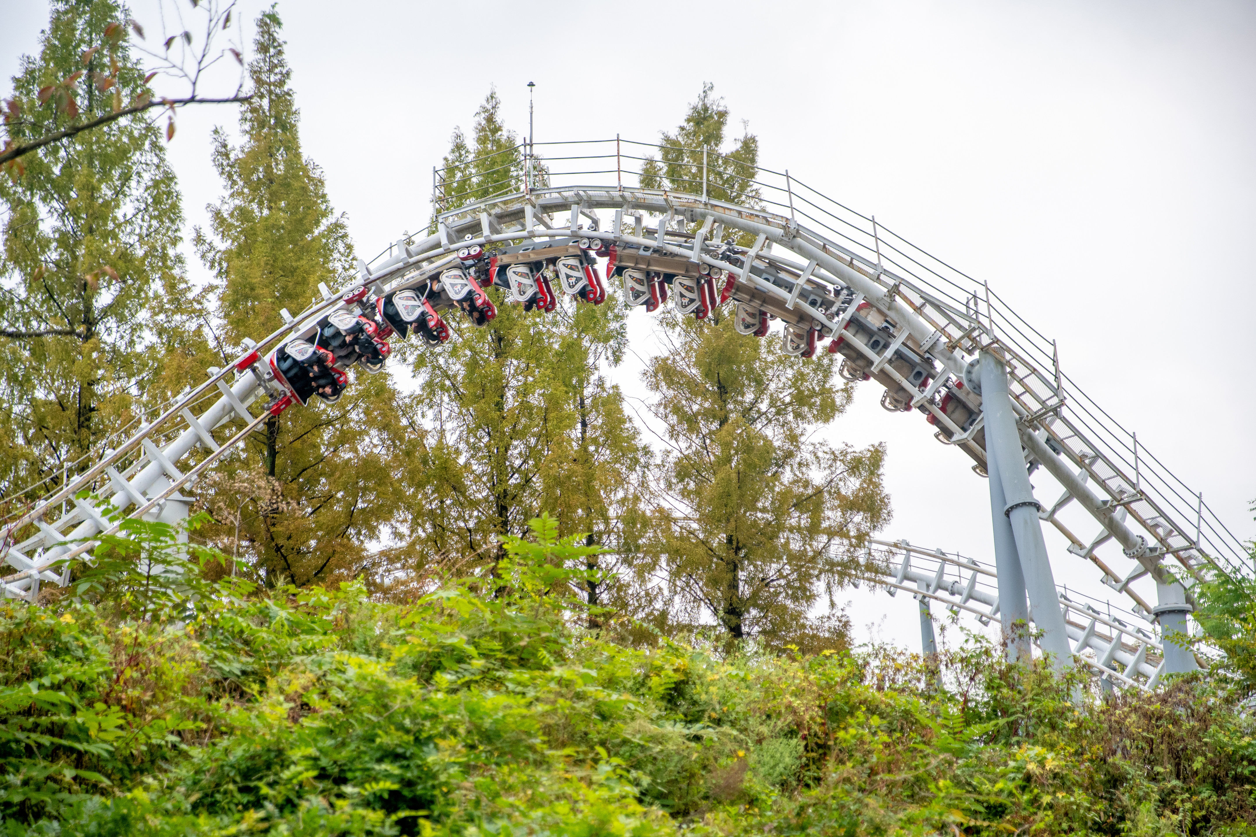 Everland / 에버랜드 Rolling X-Train