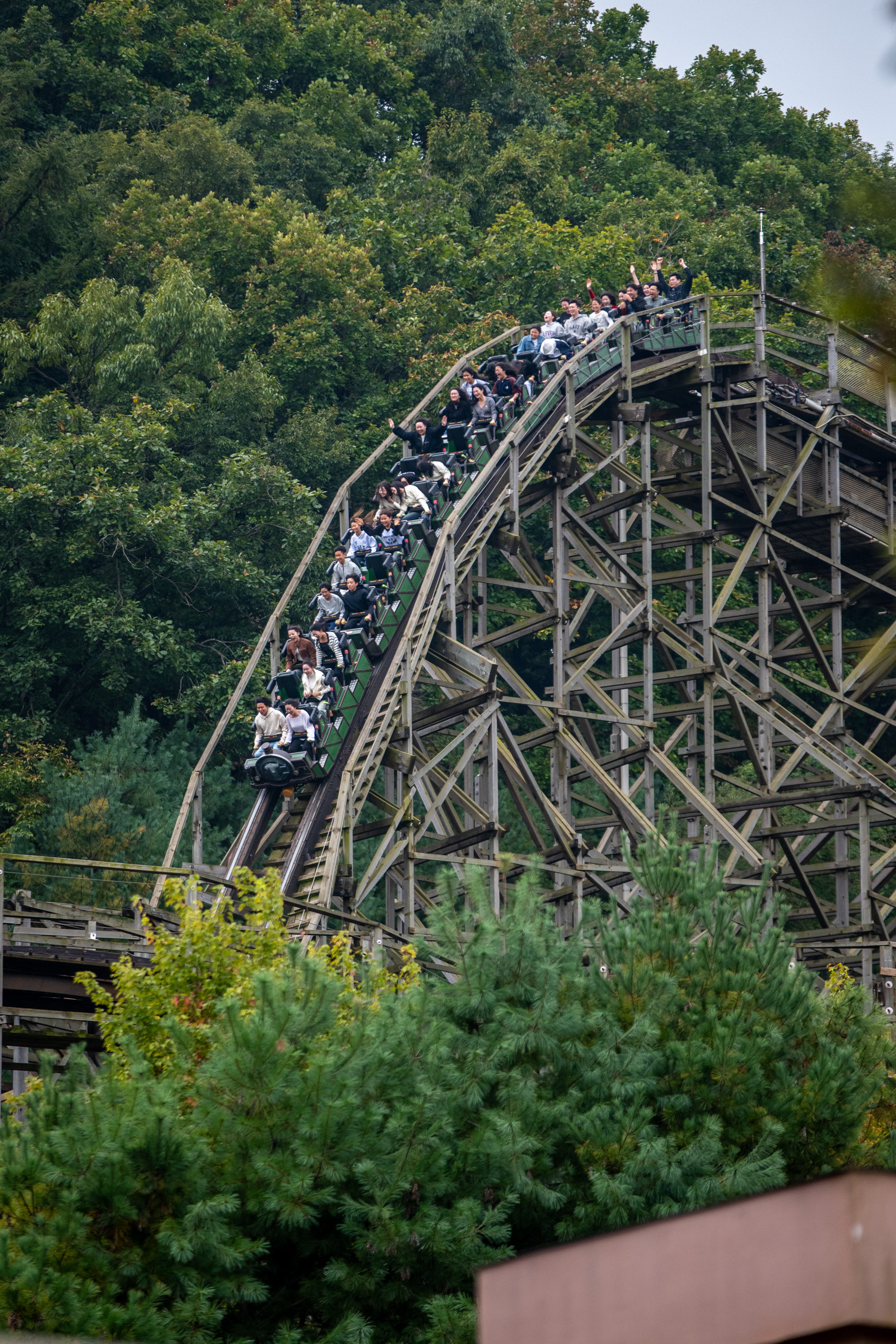 Everland / 에버랜드 T-Express