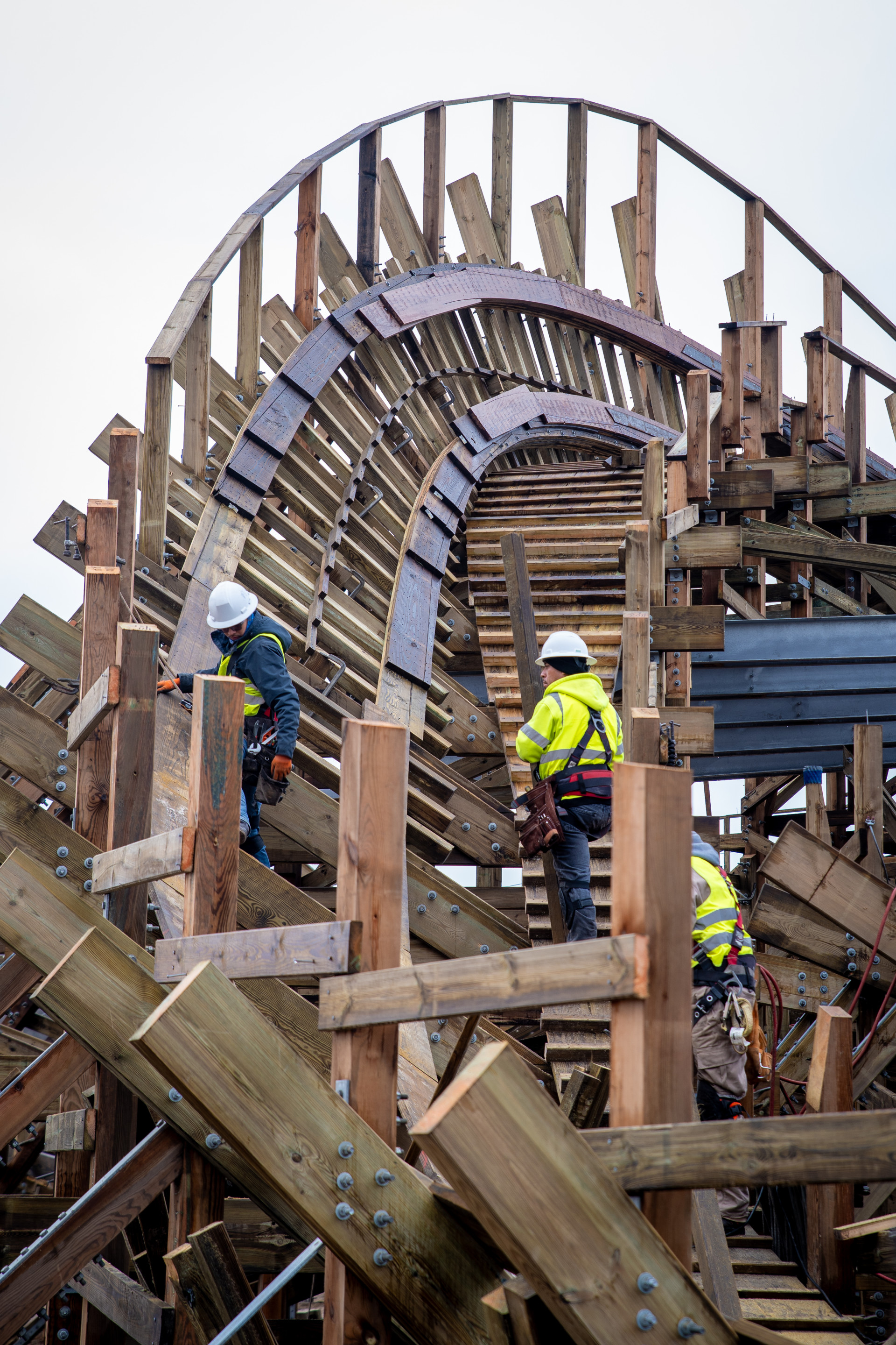 Mer de Sable Wild Buffalo