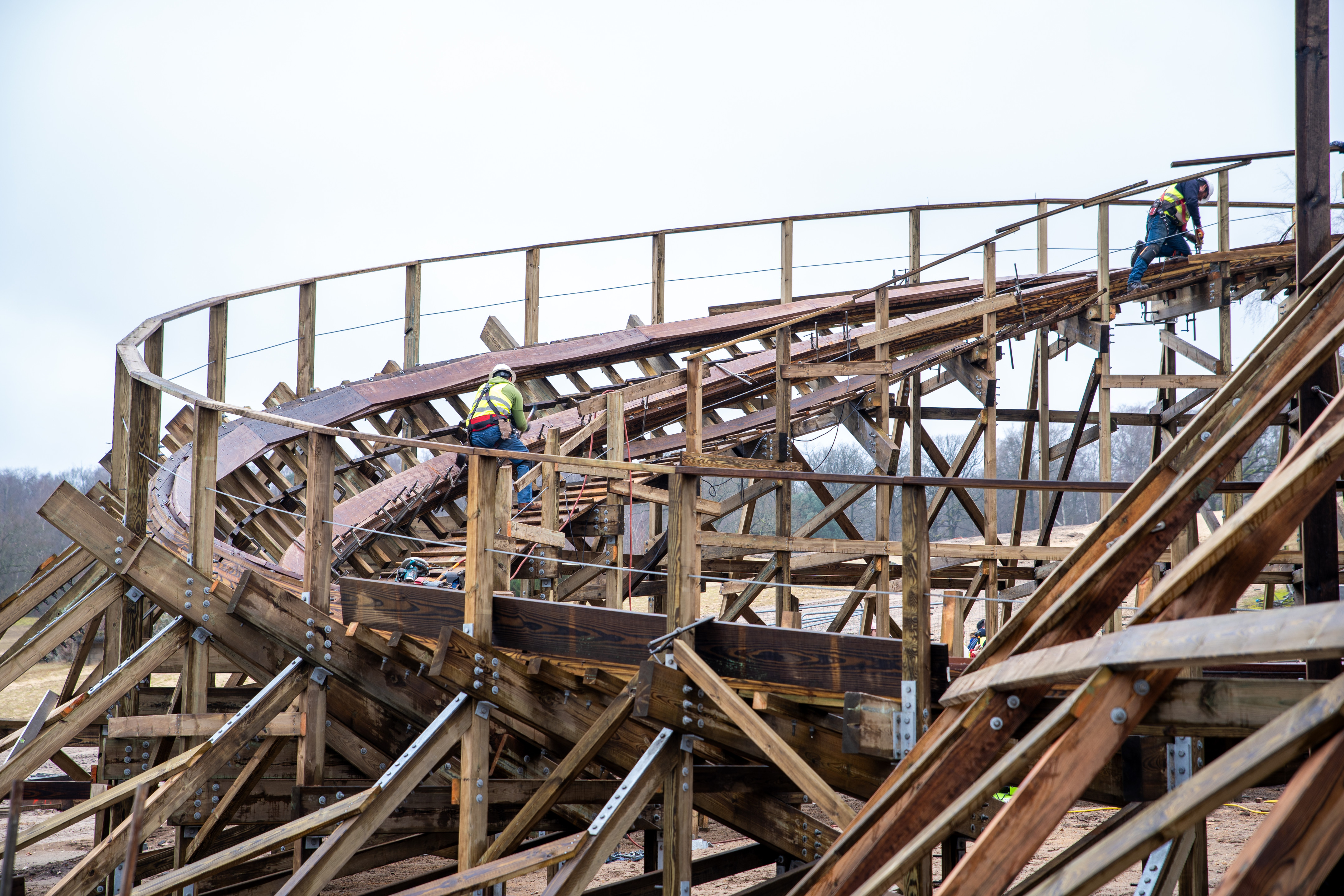 Mer de Sable Wild Buffalo