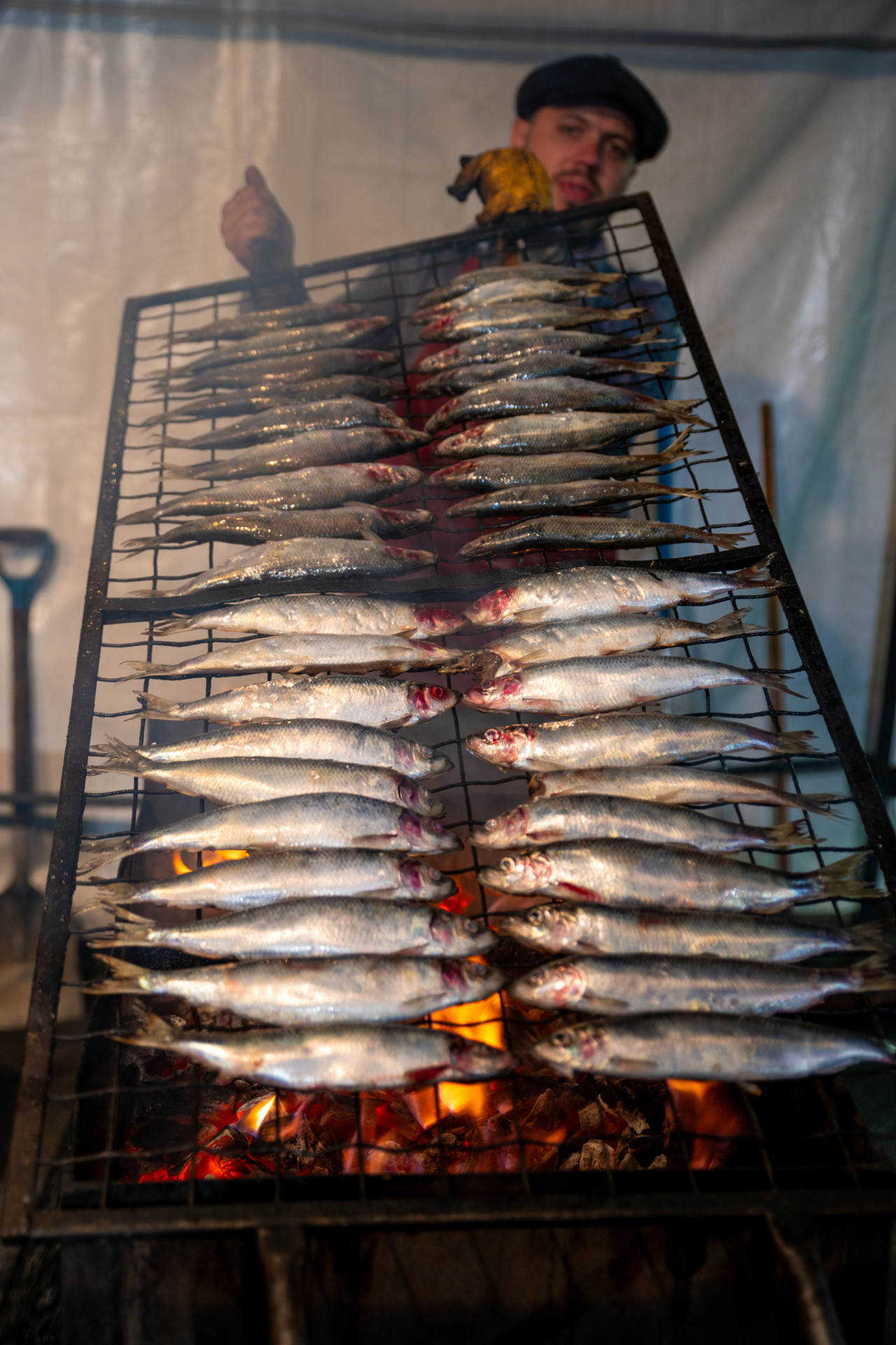 Foire Saint-Martin de Cergy-Pontoise