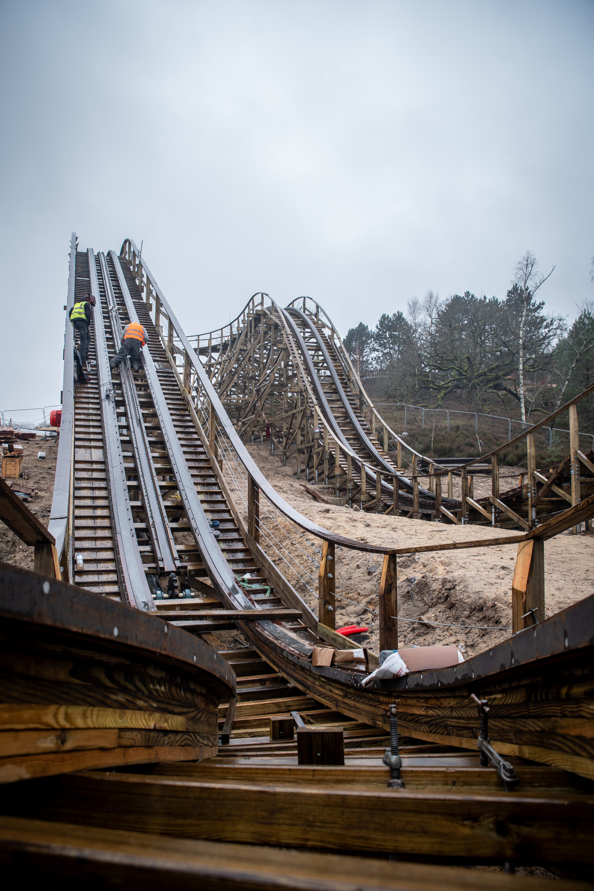 Mer de Sable Wild Buffalo