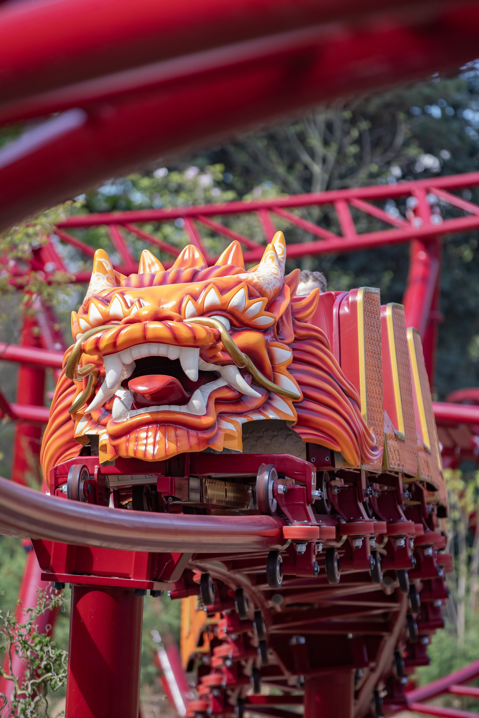 Jardin d'Acclimatation Défi du Dragon