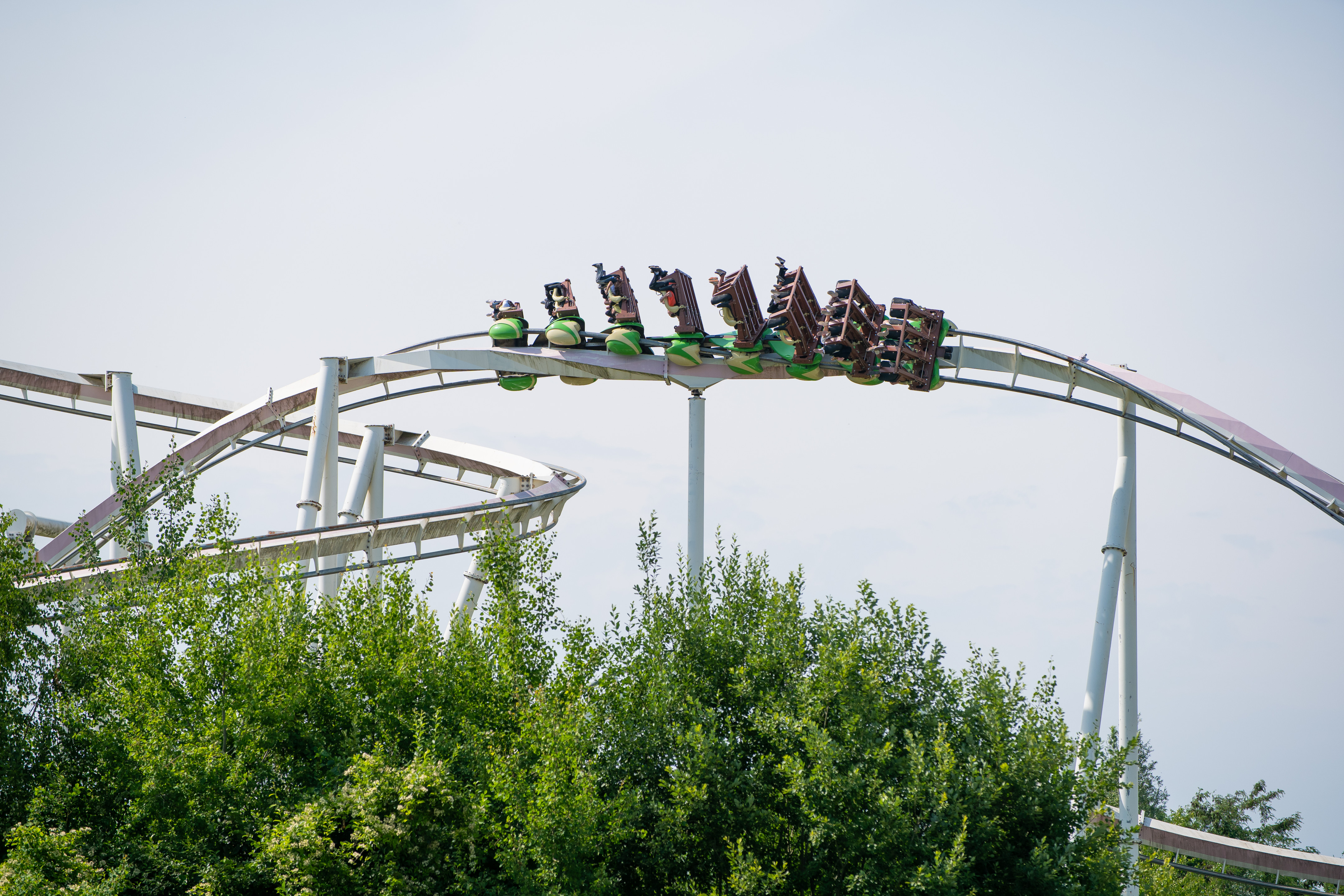 Walygator Grand Est Monster