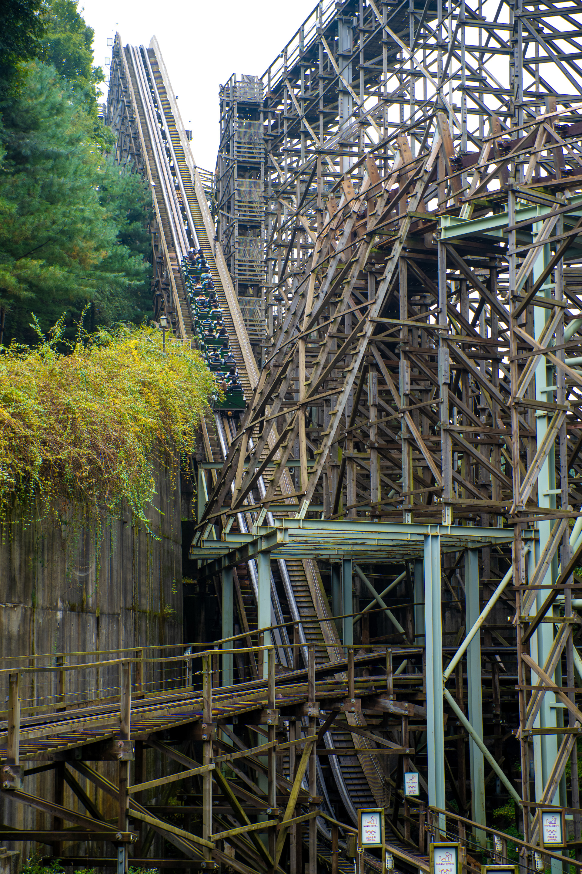 Everland / 에버랜드 T-Express