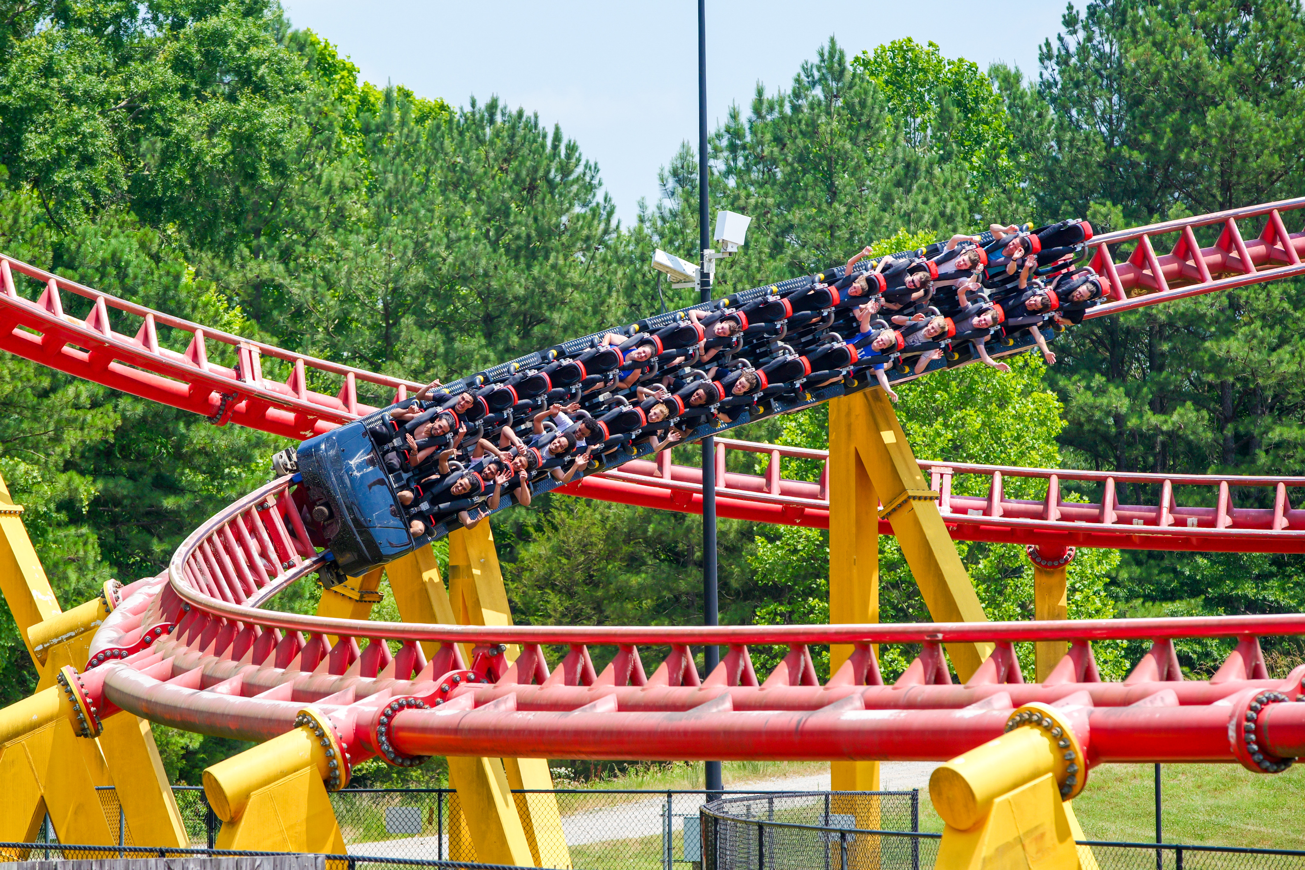 Kings Dominion Project 305